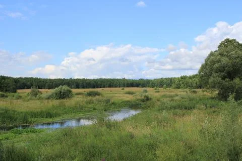 Landscape Stock Photos