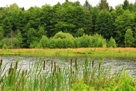 Landscape Stock Photos