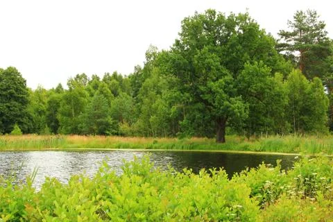 Landscape Stock Photos