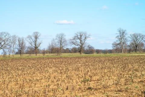Landscape Stock-Fotos