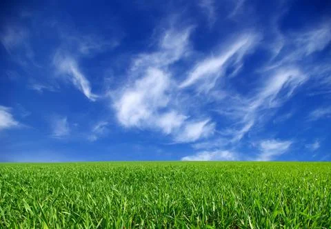 Landscape Foto stock