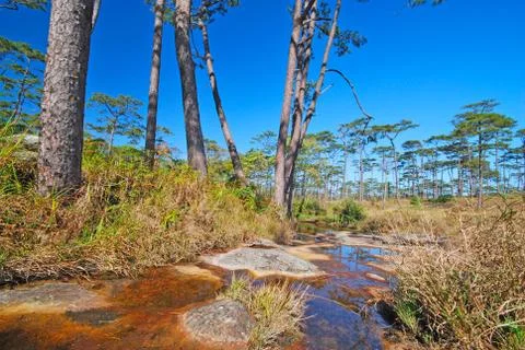 Landscape Stock Photos