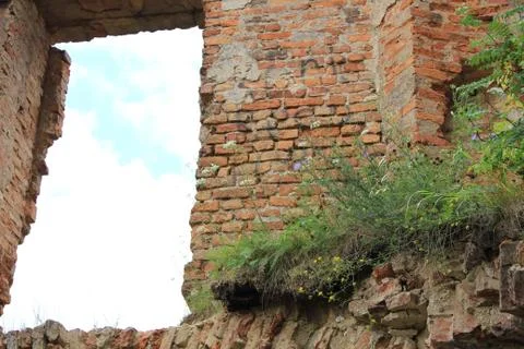 Landscape Stock Photos