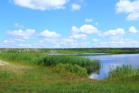 Landscape. Stock Photos