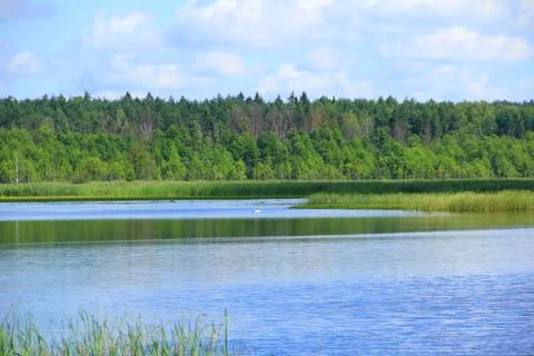 Landscape. Stock Photos