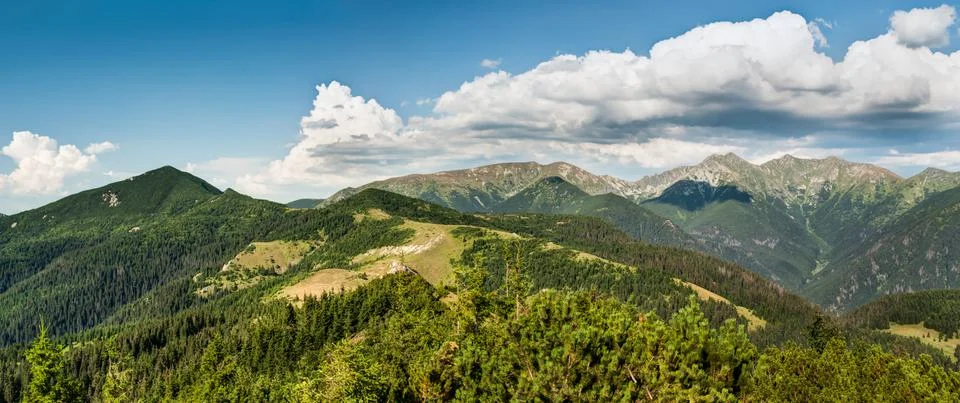 Landscape Foto stock