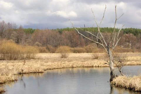 Landscape Stock-Fotos