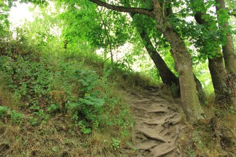 Landscape Stock Photos