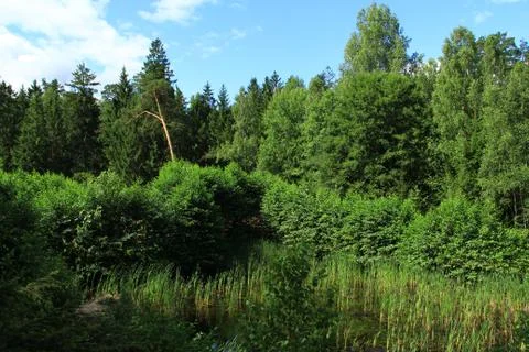 Landscape Stock Photos