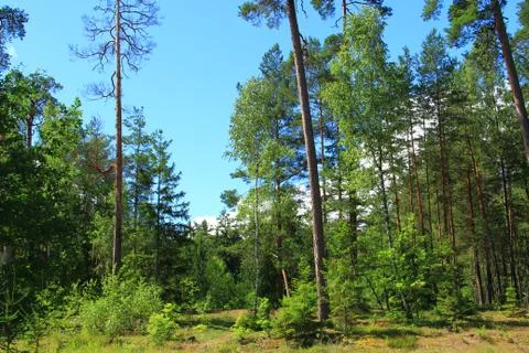 Landscape Stock Photos