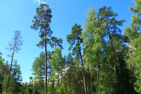 Landscape Stock Photos