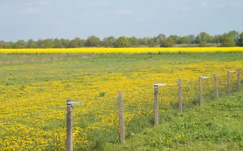 Landscape Stock Photos