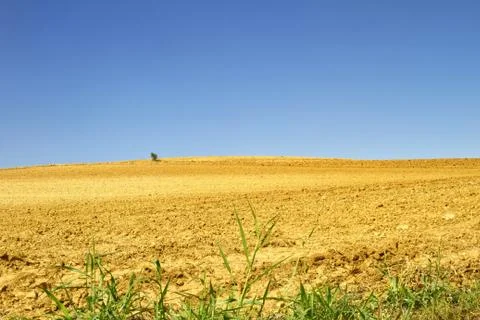 Landscape Stock Photos