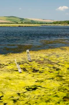 Landscape Stock Photos