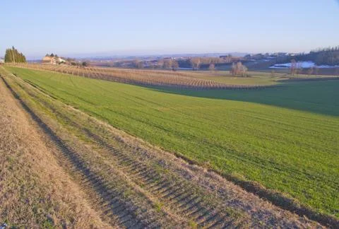 Landscape Stock Photos