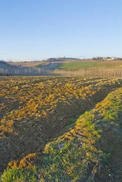 Landscape Stock Photos