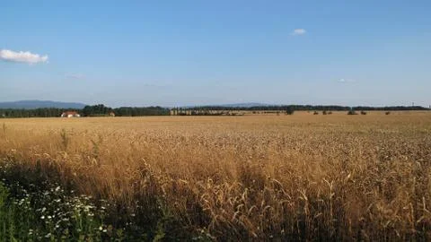 Landscape  Stock Photos