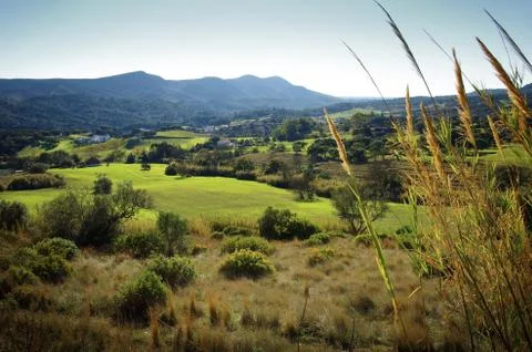 Landscape Stock Photos