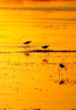 Landscape Stock Photos