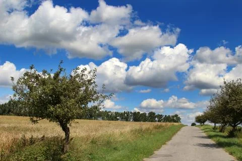 Landscape 스톡 사진