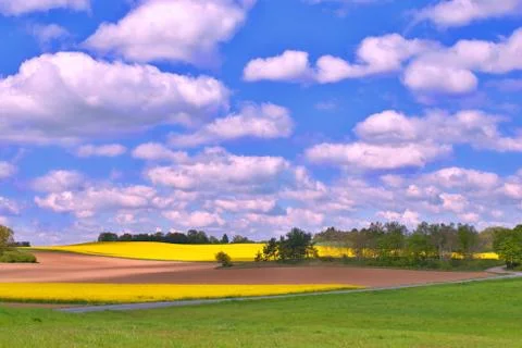 Landscape Stock Photos