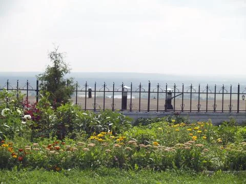 Landscape Stock Photos