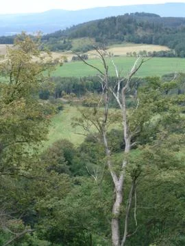 Landscape Stock Photos