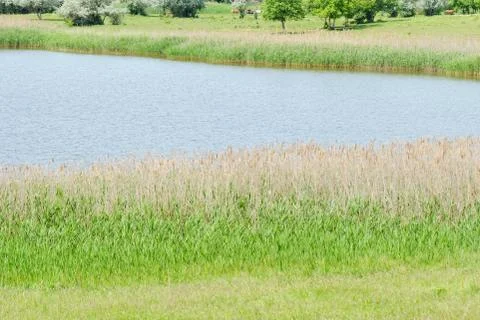 Landscape Stock Photos