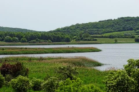 Landscape Stock Photos