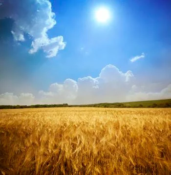 Landscape Stock Photos