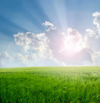 Landscape Stock Photos