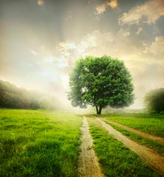 Landscape Stock Photos