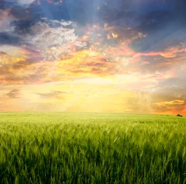 Landscape Stock Photos