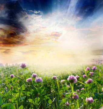 Landscape Stock Photos