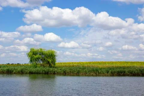 Landscape Stock Photos