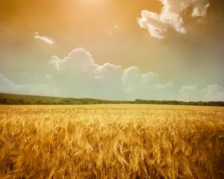 Landscape Stock Photos