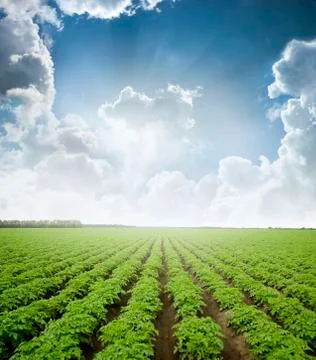 Landscape Stock Photos