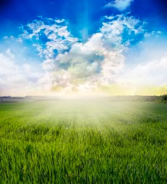 Landscape Stock Photos