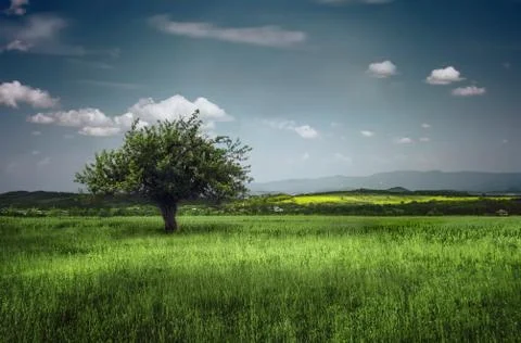 Landscape Stock Photos