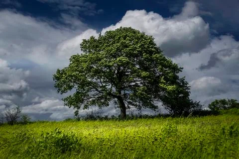 Landscape Stock Photos