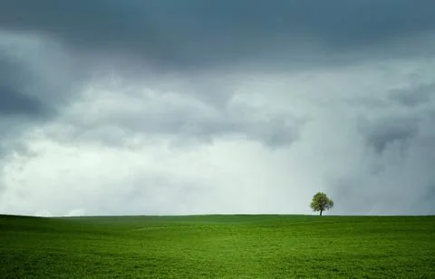 Landscape Stock Photos