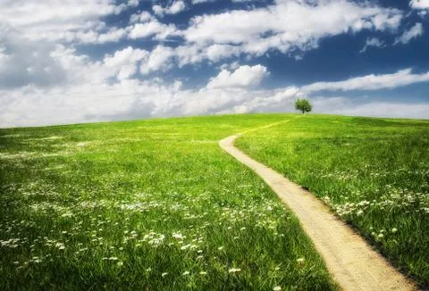 Landscape Stock Photos