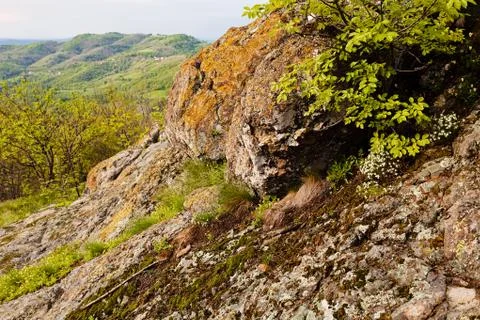 Landscape Stock Photos