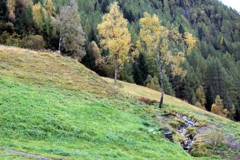 Landscape Stock Photos