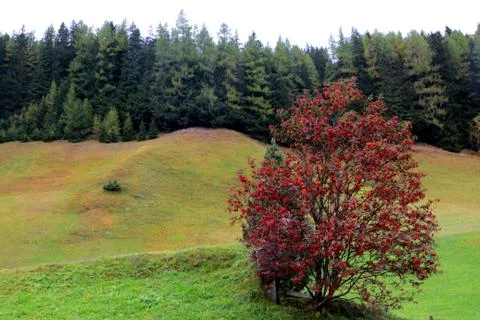 Landscape Stock Photos