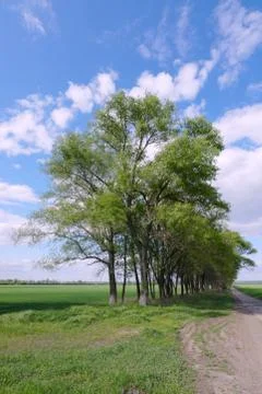 Landscape Stock Photos