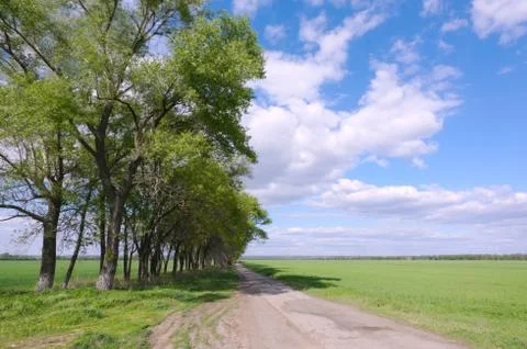 Landscape Stock Photos