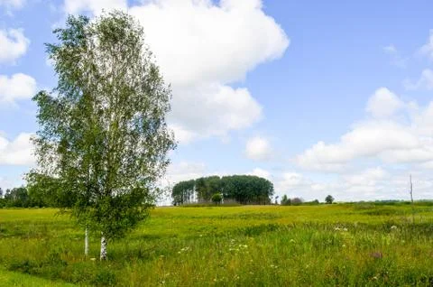 Landscape Stock Photos