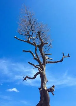 Landscape Foto stock