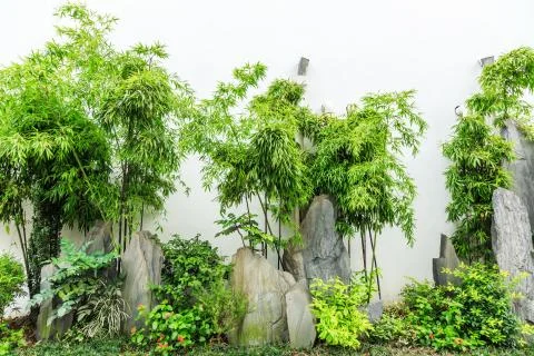 Landscape Stock Photos